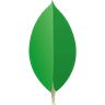 MongoDB
